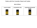 Senior Officers