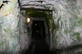 Underground trenches1